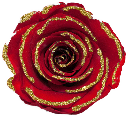 Rose stabilisée or rouge Glitter Gold